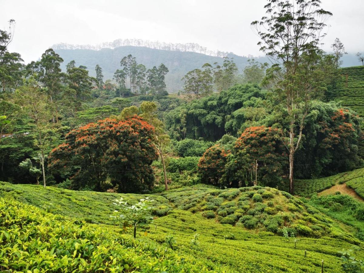 Butterfly Mountain Lake Side Maskeliya 外观 照片