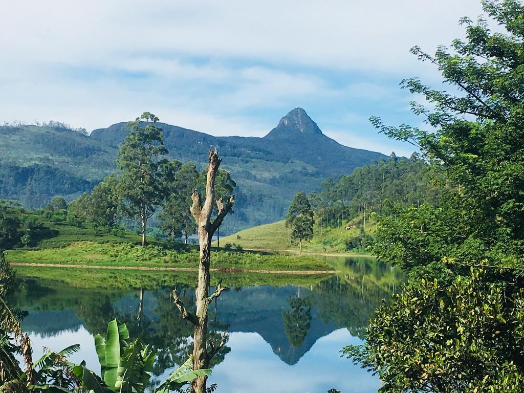 Butterfly Mountain Lake Side Maskeliya 外观 照片