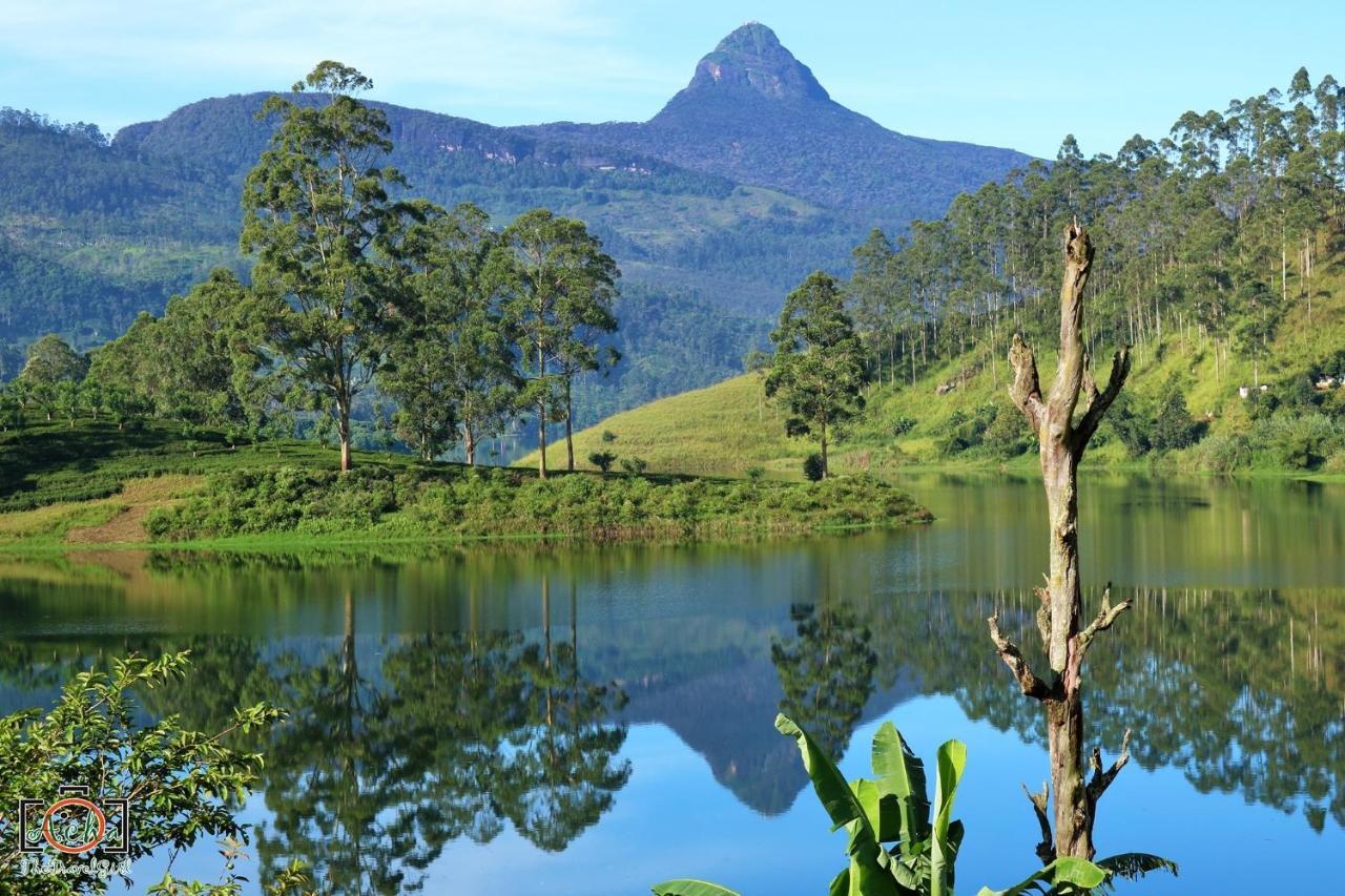 Butterfly Mountain Lake Side Maskeliya 外观 照片