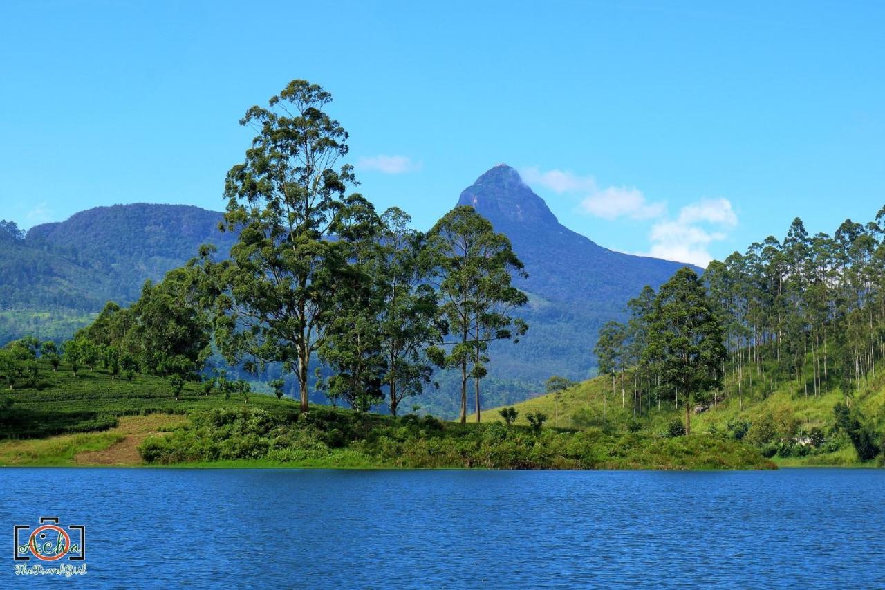 Butterfly Mountain Lake Side Maskeliya 外观 照片